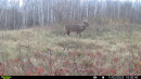 SYFW00910.jpg