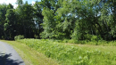 Streetview2.png
