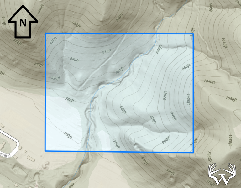 TopoKNuth33.png