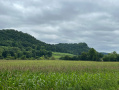 Vernon68pic1.jpg