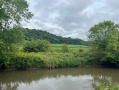 Vernon68pic3.jpg