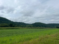 Vernon68pic4.jpg