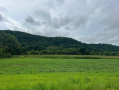 Vernon68pic5.jpg