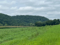 Vernon68pic.jpg