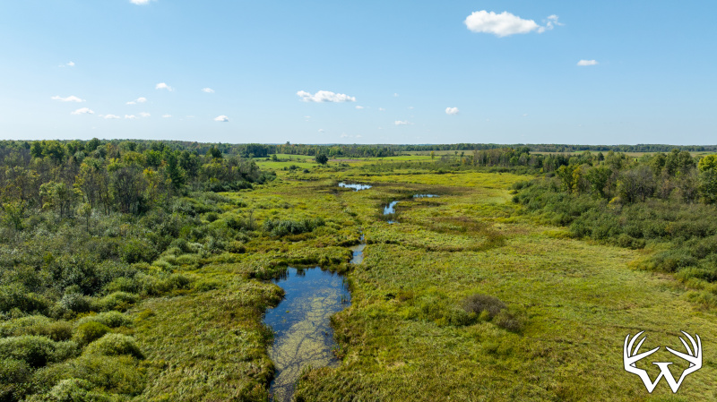 Wetlands.jpg