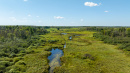 Wetlands.jpg