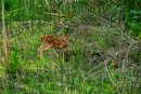 b076d610-f116-4f27-9349-5629b331b1fb.jpg