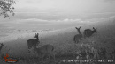 b903650a-9b98-4c81-9bcd-dc2daae6a3c7.jpg