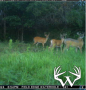 buck11_lg_1.png
