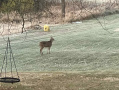 c05705ce-0199-4462-a16b-aaaec7e8d6eb.jpg