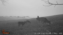 c8dd6be3-bbcb-4367-87ae-d63e7240042d.jpg