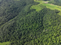 crawforddrone9.JPG
