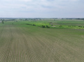 dane129d1.JPG