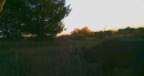 deer185-3-1.JPG
