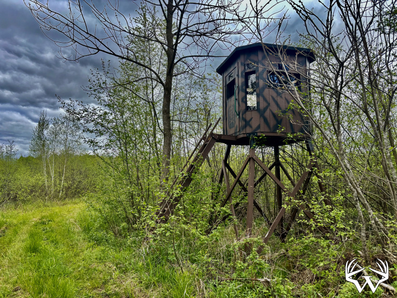 deerstand.jpeg
