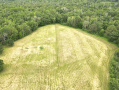 dji_fly_20240624_135636_411_1719255409086_photo.jpeg