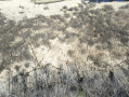 dji_fly_20250419_105312_718_1745078094563_photo.jpeg