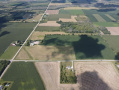 dji_fly_20250830_103616_126_1756568183788_photo.jpg