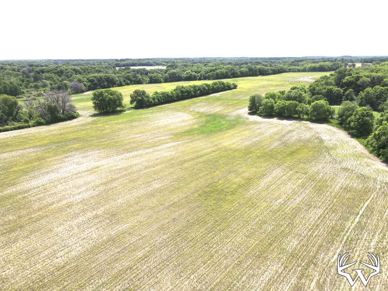 dji_fly_20260603_121312_721_1780506817320_photo.jpeg