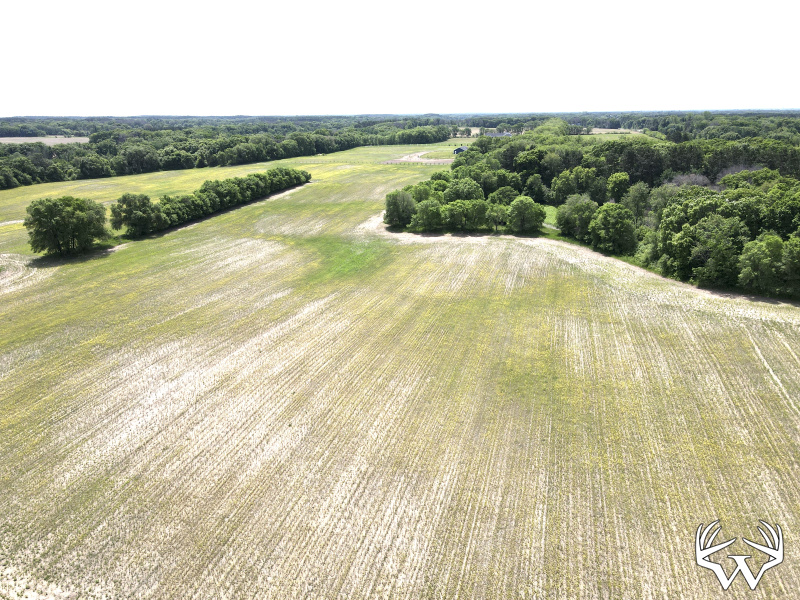dji_fly_20260603_121336_723_1780506830450_photo.jpeg
