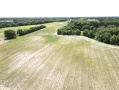 dji_fly_20260603_121336_723_1780506830450_photo.jpeg