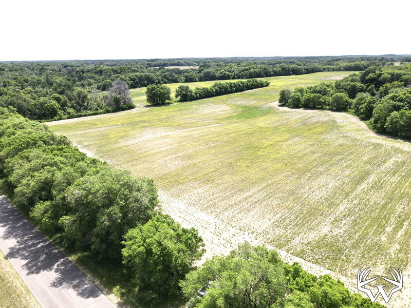 dji_fly_20260603_121454_725_1780506910314_photo.jpeg