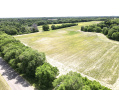 dji_fly_20260603_121454_725_1780506910314_photo.jpeg
