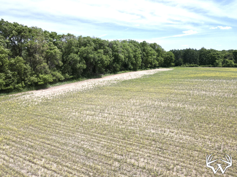 dji_fly_20260603_121522_726_1780506936043_photo.jpeg