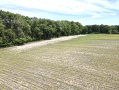 dji_fly_20260603_121522_726_1780506936043_photo.jpeg
