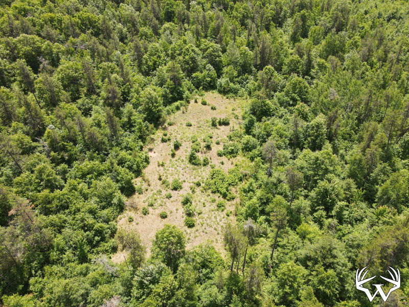 dji_fly_20260618_124726_732_1781804893238_photo.jpeg