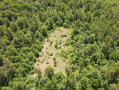 dji_fly_20260618_124726_732_1781804893238_photo.jpeg