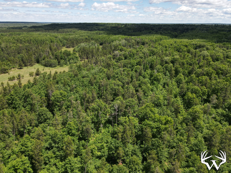 dji_fly_20260618_124744_733_1781804918904_photo.jpeg