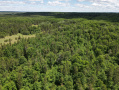 dji_fly_20260618_124744_733_1781804918904_photo.jpeg