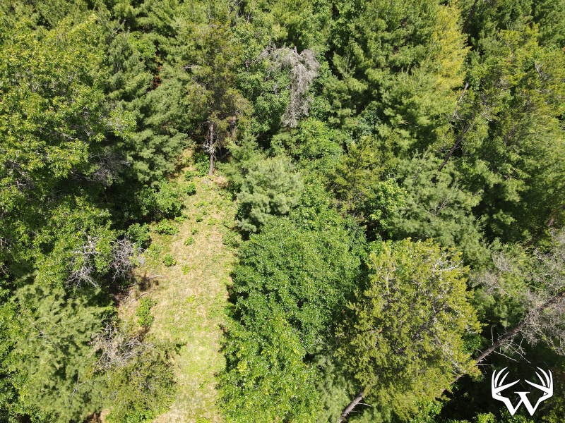 dji_fly_20260618_124922_734_1781805005295_photo.jpeg