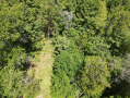 dji_fly_20260618_124922_734_1781805005295_photo.jpeg
