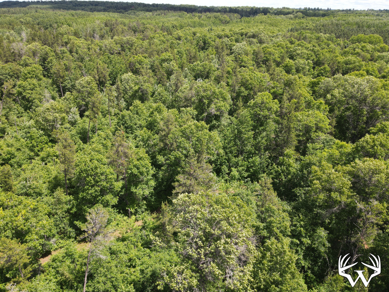 dji_fly_20260618_124950_735_1781805012533_photo.jpeg