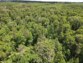 dji_fly_20260618_124950_735_1781805012533_photo.jpeg