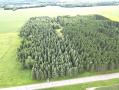 dji_fly_20260708_175720_1_1783551451580_photo.jpeg