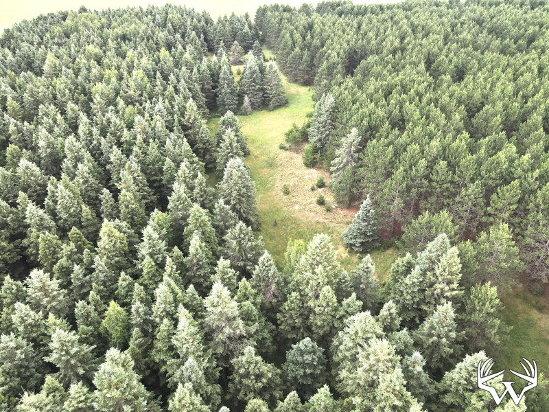 dji_fly_20260708_175754_3_1783551491739_photo.jpeg