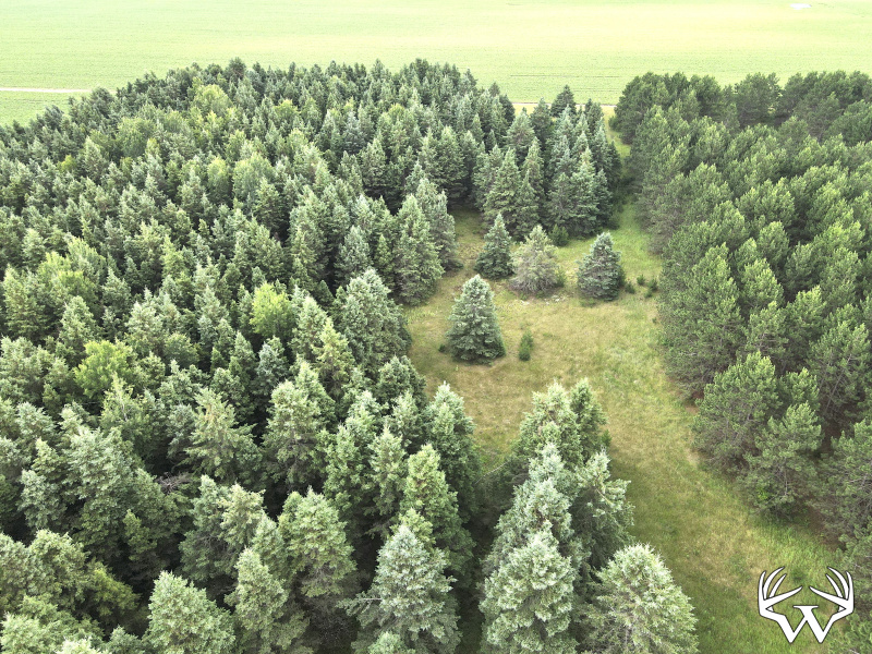 dji_fly_20260708_175812_4_1783551553790_photo.jpeg
