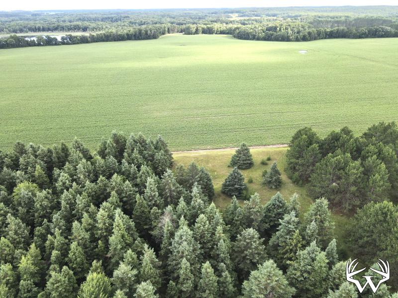 dji_fly_20260708_175832_5_1783551573658_photo.jpeg