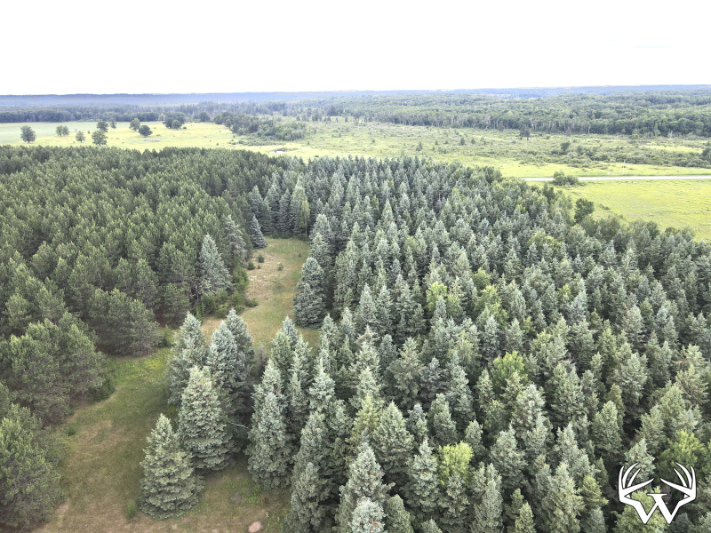 dji_fly_20260708_175848_6_1783551588444_photo.jpeg