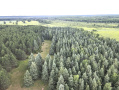 dji_fly_20260708_175848_6_1783551588444_photo.jpeg