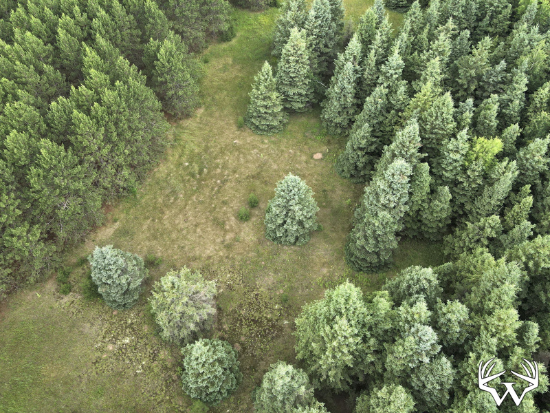dji_fly_20260708_175904_8_1783551607938_photo.jpeg