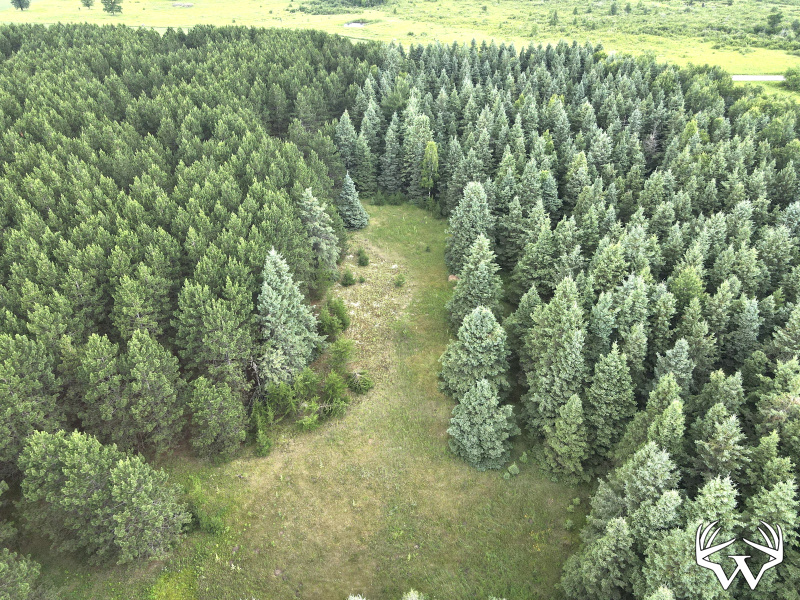 dji_fly_20260708_175920_9_1783551613344_photo.jpeg