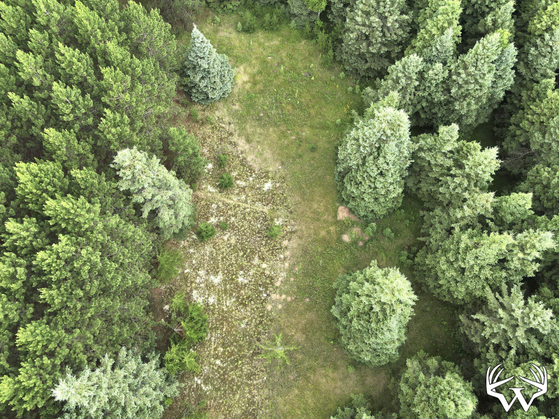 dji_fly_20260708_175936_10_1783551618913_photo.jpeg