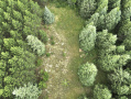 dji_fly_20260708_175936_10_1783551618913_photo.jpeg