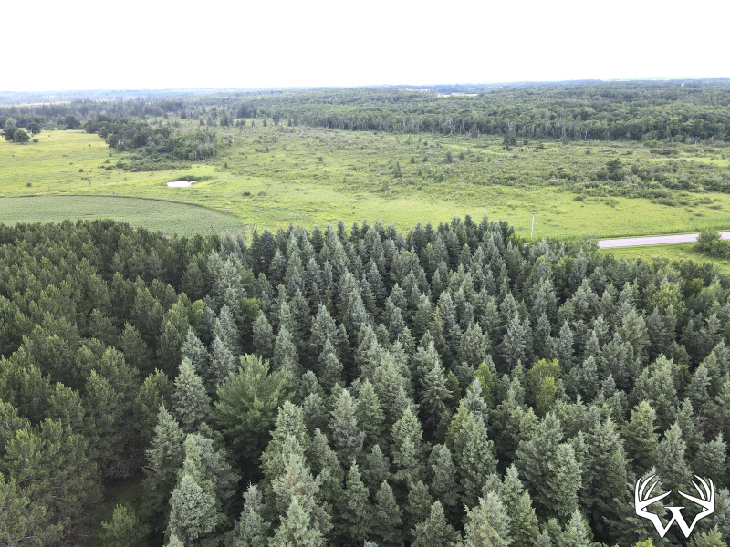 dji_fly_20260708_175950_11_1783551625294_photo.jpeg