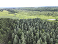 dji_fly_20260708_175950_11_1783551625294_photo.jpeg