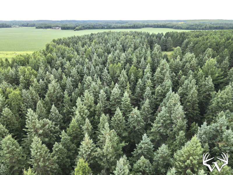 dji_fly_20260708_180026_13_1783551638013_photo.jpeg